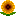 hana16